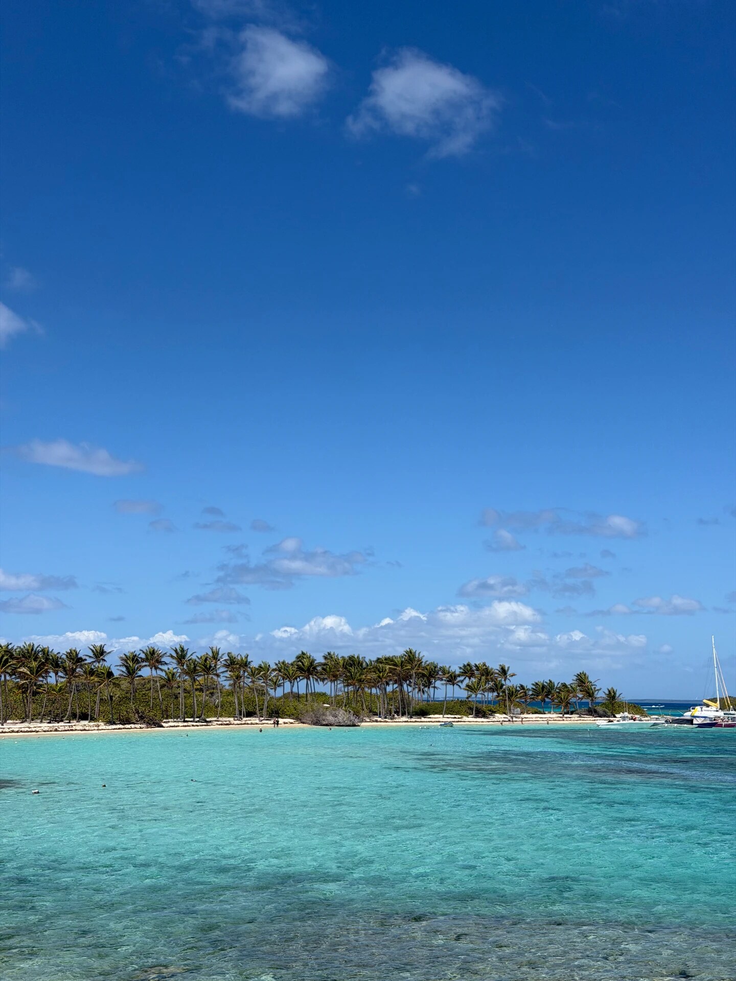 Lagon turquoise et îlet bordé de palmiers